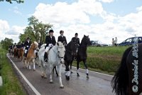 A DB 0161    © Daniela und Christian Bittner u.a.    Alle Inhalte auf diesen Webseiten sind urheberrechtlich geschützt. Kein Teil der hier abrufbaren Inhalte darf ohne ausdrückliche schriftliche Erlaubnis des Fotografen reproduziert, gedruckt, übersetzt, in digitaler Form weiterbearbeitet, in Archive übernommen oder Dritten unter einer fremden URL zugänglich gemacht werden.   Fotografen: AE .. A. Esdar, AH .. A. Helmle, CB .. Chr. Bittner, DB .. D. Bittner, LB .. L. Bittner, BB .. B. Boschatzke,   HZ .. H. Ziegelbauer, IM .. I. Maierhöfer, KH .. K. Hauber, LE .. L. Esdar, ME .. M. Esdar, MEr .. M. Erhard,   RM .. R. Maierhöfer, SD .. S. Demchuk, TS .. T. Spaag-Wagner, UL .. U. Ladenburger, JW .. J. Wecker, EB .. E. Boschatzke,   JA .. J. Abele, MW .. Maria Walter, MB .. Manuel Bühler, GG .. Georg Gösele, CBa .. Christoph Bayrle, KZW .. Kathrin Zwerger, PG .. Peter Gösele, CME .. Carmen Müller-Epacher, GB .. Gebhard Bühler, AL .. Alisha Ladenburger, SV .. Susanne Habel-Veit.