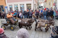 0142 A CB 0334    © Daniela und Christian Bittner u.a.    Alle Inhalte auf diesen Webseiten sind urheberrechtlich geschützt. Kein Teil der hier abrufbaren Inhalte darf ohne ausdrückliche schriftliche Erlaubnis des Fotografen reproduziert, gedruckt, übersetzt, in digitaler Form weiterbearbeitet, in Archive übernommen oder Dritten unter einer fremden URL zugänglich gemacht werden.   Fotografen: AE .. A. Esdar, AH .. A. Helmle, CB .. Chr. Bittner, DB .. D. Bittner, LB .. L. Bittner, BB .. B. Boschatzke,   HZ .. H. Ziegelbauer, IM .. I. Maierhöfer, KH .. K. Hauber, LE .. L. Esdar, ME .. M. Esdar, MEr .. M. Erhard,   RM .. R. Maierhöfer, SD .. S. Demchuk, TS .. T. Spaag-Wagner, UL .. U. Ladenburger, JW .. J. Wecker, EB .. E. Boschatzke,   JA .. J. Abele, MW .. Maria Walter, MB .. Manuel Bühler, GG .. Georg Gösele, CBa .. Christoph Bayrle, KZW .. Kathrin Zwerger, PG .. Peter Gösele, CME .. Carmen Müller-Epacher, GB .. Gebhard Bühler, AL .. Alisha Ladenburger, SV .. Susanne Habel-Veit.
