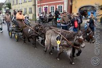0165 A CB 0367    © Daniela und Christian Bittner u.a.    Alle Inhalte auf diesen Webseiten sind urheberrechtlich geschützt. Kein Teil der hier abrufbaren Inhalte darf ohne ausdrückliche schriftliche Erlaubnis des Fotografen reproduziert, gedruckt, übersetzt, in digitaler Form weiterbearbeitet, in Archive übernommen oder Dritten unter einer fremden URL zugänglich gemacht werden.   Fotografen: AE .. A. Esdar, AH .. A. Helmle, CB .. Chr. Bittner, DB .. D. Bittner, LB .. L. Bittner, BB .. B. Boschatzke,   HZ .. H. Ziegelbauer, IM .. I. Maierhöfer, KH .. K. Hauber, LE .. L. Esdar, ME .. M. Esdar, MEr .. M. Erhard,   RM .. R. Maierhöfer, SD .. S. Demchuk, TS .. T. Spaag-Wagner, UL .. U. Ladenburger, JW .. J. Wecker, EB .. E. Boschatzke,   JA .. J. Abele, MW .. Maria Walter, MB .. Manuel Bühler, GG .. Georg Gösele, CBa .. Christoph Bayrle, KZW .. Kathrin Zwerger, PG .. Peter Gösele, CME .. Carmen Müller-Epacher, GB .. Gebhard Bühler, AL .. Alisha Ladenburger, SV .. Susanne Habel-Veit.