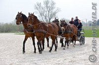 0429 A CB 0463    © Daniela und Christian Bittner u.a.    Alle Inhalte auf diesen Webseiten sind urheberrechtlich geschützt. Kein Teil der hier abrufbaren Inhalte darf ohne ausdrückliche schriftliche Erlaubnis des Fotografen reproduziert, gedruckt, übersetzt, in digitaler Form weiterbearbeitet, in Archive übernommen oder Dritten unter einer fremden URL zugänglich gemacht werden.   Fotografen: AE .. A. Esdar, AH .. A. Helmle, CB .. Chr. Bittner, DB .. D. Bittner, LB .. L. Bittner, BB .. B. Boschatzke,   HZ .. H. Ziegelbauer, IM .. I. Maierhöfer, KH .. K. Hauber, LE .. L. Esdar, ME .. M. Esdar, MEr .. M. Erhard,   RM .. R. Maierhöfer, SD .. S. Demchuk, TS .. T. Spaag-Wagner, UL .. U. Ladenburger, JW .. J. Wecker, EB .. E. Boschatzke,   JA .. J. Abele, MW .. Maria Walter, MB .. Manuel Bühler, GG .. Georg Gösele, CBa .. Christoph Bayrle.