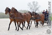 0430 A CB 0465    © Daniela und Christian Bittner u.a.    Alle Inhalte auf diesen Webseiten sind urheberrechtlich geschützt. Kein Teil der hier abrufbaren Inhalte darf ohne ausdrückliche schriftliche Erlaubnis des Fotografen reproduziert, gedruckt, übersetzt, in digitaler Form weiterbearbeitet, in Archive übernommen oder Dritten unter einer fremden URL zugänglich gemacht werden.   Fotografen: AE .. A. Esdar, AH .. A. Helmle, CB .. Chr. Bittner, DB .. D. Bittner, LB .. L. Bittner, BB .. B. Boschatzke,   HZ .. H. Ziegelbauer, IM .. I. Maierhöfer, KH .. K. Hauber, LE .. L. Esdar, ME .. M. Esdar, MEr .. M. Erhard,   RM .. R. Maierhöfer, SD .. S. Demchuk, TS .. T. Spaag-Wagner, UL .. U. Ladenburger, JW .. J. Wecker, EB .. E. Boschatzke,   JA .. J. Abele, MW .. Maria Walter, MB .. Manuel Bühler, GG .. Georg Gösele, CBa .. Christoph Bayrle.