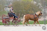 0459 C CB 0159    © Daniela und Christian Bittner u.a.    Alle Inhalte auf diesen Webseiten sind urheberrechtlich geschützt. Kein Teil der hier abrufbaren Inhalte darf ohne ausdrückliche schriftliche Erlaubnis des Fotografen reproduziert, gedruckt, übersetzt, in digitaler Form weiterbearbeitet, in Archive übernommen oder Dritten unter einer fremden URL zugänglich gemacht werden.   Fotografen: AE .. A. Esdar, AH .. A. Helmle, CB .. Chr. Bittner, DB .. D. Bittner, LB .. L. Bittner, BB .. B. Boschatzke,   HZ .. H. Ziegelbauer, IM .. I. Maierhöfer, KH .. K. Hauber, LE .. L. Esdar, ME .. M. Esdar, MEr .. M. Erhard,   RM .. R. Maierhöfer, SD .. S. Demchuk, TS .. T. Spaag-Wagner, UL .. U. Ladenburger, JW .. J. Wecker, EB .. E. Boschatzke,   JA .. J. Abele, MW .. Maria Walter, MB .. Manuel Bühler, GG .. Georg Gösele, CBa .. Christoph Bayrle, KZW .. Kathrin Zwerger, PG .. Peter Gösele, CME .. Carmen Müller-Epacher, GB .. Gebhard Bühler, AL .. Alisha Ladenburger, SV .. Susanne Habel-Veit.