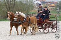 0466 C CB 0180    © Daniela und Christian Bittner u.a.    Alle Inhalte auf diesen Webseiten sind urheberrechtlich geschützt. Kein Teil der hier abrufbaren Inhalte darf ohne ausdrückliche schriftliche Erlaubnis des Fotografen reproduziert, gedruckt, übersetzt, in digitaler Form weiterbearbeitet, in Archive übernommen oder Dritten unter einer fremden URL zugänglich gemacht werden.   Fotografen: AE .. A. Esdar, AH .. A. Helmle, CB .. Chr. Bittner, DB .. D. Bittner, LB .. L. Bittner, BB .. B. Boschatzke,   HZ .. H. Ziegelbauer, IM .. I. Maierhöfer, KH .. K. Hauber, LE .. L. Esdar, ME .. M. Esdar, MEr .. M. Erhard,   RM .. R. Maierhöfer, SD .. S. Demchuk, TS .. T. Spaag-Wagner, UL .. U. Ladenburger, JW .. J. Wecker, EB .. E. Boschatzke,   JA .. J. Abele, MW .. Maria Walter, MB .. Manuel Bühler, GG .. Georg Gösele, CBa .. Christoph Bayrle.