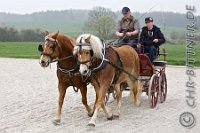 0480 C CB 0243    © Daniela und Christian Bittner u.a.    Alle Inhalte auf diesen Webseiten sind urheberrechtlich geschützt. Kein Teil der hier abrufbaren Inhalte darf ohne ausdrückliche schriftliche Erlaubnis des Fotografen reproduziert, gedruckt, übersetzt, in digitaler Form weiterbearbeitet, in Archive übernommen oder Dritten unter einer fremden URL zugänglich gemacht werden.   Fotografen: AE .. A. Esdar, AH .. A. Helmle, CB .. Chr. Bittner, DB .. D. Bittner, LB .. L. Bittner, BB .. B. Boschatzke,   HZ .. H. Ziegelbauer, IM .. I. Maierhöfer, KH .. K. Hauber, LE .. L. Esdar, ME .. M. Esdar, MEr .. M. Erhard,   RM .. R. Maierhöfer, SD .. S. Demchuk, TS .. T. Spaag-Wagner, UL .. U. Ladenburger, JW .. J. Wecker, EB .. E. Boschatzke,   JA .. J. Abele, MW .. Maria Walter, MB .. Manuel Bühler, GG .. Georg Gösele, CBa .. Christoph Bayrle.