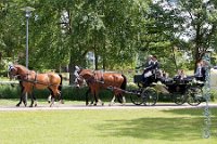 A DB 0104    © Daniela und Christian Bittner u.a.    Alle Inhalte auf diesen Webseiten sind urheberrechtlich geschützt. Kein Teil der hier abrufbaren Inhalte darf ohne ausdrückliche schriftliche Erlaubnis des Fotografen reproduziert, gedruckt, übersetzt, in digitaler Form weiterbearbeitet, in Archive übernommen oder Dritten unter einer fremden URL zugänglich gemacht werden.   Fotografen: AE .. A. Esdar, AH .. A. Helmle, CB .. Chr. Bittner, DB .. D. Bittner, LB .. L. Bittner, BB .. B. Boschatzke,   HZ .. H. Ziegelbauer, IM .. I. Maierhöfer, KH .. K. Hauber, LE .. L. Esdar, ME .. M. Esdar, MEr .. M. Erhard,   RM .. R. Maierhöfer, SD .. S. Demchuk, TS .. T. Spaag-Wagner, UL .. U. Ladenburger, JW .. J. Wecker, EB .. E. Boschatzke,   JA .. J. Abele, MW .. Maria Walter, MB .. Manuel Bühler, GG .. Georg Gösele, CBa .. Christoph Bayrle, KZW .. Kathrin Zwerger, PG .. Peter Gösele, CME .. Carmen Müller-Epacher, GB .. Gebhard Bühler, AL .. Alisha Ladenburger, SV .. Susanne Habel-Veit.