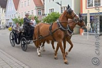 A CB 0005    © Daniela und Christian Bittner u.a.    Alle Inhalte auf diesen Webseiten sind urheberrechtlich geschützt. Kein Teil der hier abrufbaren Inhalte darf ohne ausdrückliche schriftliche Erlaubnis des Fotografen reproduziert, gedruckt, übersetzt, in digitaler Form weiterbearbeitet, in Archive übernommen oder Dritten unter einer fremden URL zugänglich gemacht werden.   Fotografen: AE .. A. Esdar, AH .. A. Helmle, CB .. Chr. Bittner, DB .. D. Bittner, LB .. L. Bittner, BB .. B. Boschatzke,   HZ .. H. Ziegelbauer, IM .. I. Maierhöfer, KH .. K. Hauber, LE .. L. Esdar, ME .. M. Esdar, MEr .. M. Erhard,   RM .. R. Maierhöfer, SD .. S. Demchuk, TS .. T. Spaag-Wagner, UL .. U. Ladenburger, JW .. J. Wecker, EB .. E. Boschatzke,   JA .. J. Abele, MW .. Maria Walter, MB .. Manuel Bühler, GG .. Georg Gösele, CBa .. Christoph Bayrle, KZW .. Kathrin Zwerger, PG .. Peter Gösele, CME .. Carmen Müller-Epacher, GB .. Gebhard Bühler, AL .. Alisha Ladenburger, SV .. Susanne Habel-Veit.