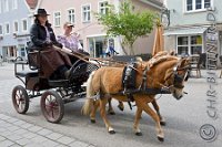 A CB 0090    © Daniela und Christian Bittner u.a.    Alle Inhalte auf diesen Webseiten sind urheberrechtlich geschützt. Kein Teil der hier abrufbaren Inhalte darf ohne ausdrückliche schriftliche Erlaubnis des Fotografen reproduziert, gedruckt, übersetzt, in digitaler Form weiterbearbeitet, in Archive übernommen oder Dritten unter einer fremden URL zugänglich gemacht werden.   Fotografen: AE .. A. Esdar, AH .. A. Helmle, CB .. Chr. Bittner, DB .. D. Bittner, LB .. L. Bittner, BB .. B. Boschatzke,   HZ .. H. Ziegelbauer, IM .. I. Maierhöfer, KH .. K. Hauber, LE .. L. Esdar, ME .. M. Esdar, MEr .. M. Erhard,   RM .. R. Maierhöfer, SD .. S. Demchuk, TS .. T. Spaag-Wagner, UL .. U. Ladenburger, JW .. J. Wecker, EB .. E. Boschatzke,   JA .. J. Abele, MW .. Maria Walter, MB .. Manuel Bühler, GG .. Georg Gösele, CBa .. Christoph Bayrle, KZW .. Kathrin Zwerger, PG .. Peter Gösele, CME .. Carmen Müller-Epacher, GB .. Gebhard Bühler, AL .. Alisha Ladenburger, SV .. Susanne Habel-Veit.