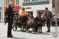 A CB 0141    © Daniela und Christian Bittner u.a.    Alle Inhalte auf diesen Webseiten sind urheberrechtlich geschützt. Kein Teil der hier abrufbaren Inhalte darf ohne ausdrückliche schriftliche Erlaubnis des Fotografen reproduziert, gedruckt, übersetzt, in digitaler Form weiterbearbeitet, in Archive übernommen oder Dritten unter einer fremden URL zugänglich gemacht werden.   Fotografen: AE .. A. Esdar, AH .. A. Helmle, CB .. Chr. Bittner, DB .. D. Bittner, LB .. L. Bittner, BB .. B. Boschatzke,   HZ .. H. Ziegelbauer, IM .. I. Maierhöfer, KH .. K. Hauber, LE .. L. Esdar, ME .. M. Esdar, MEr .. M. Erhard,   RM .. R. Maierhöfer, SD .. S. Demchuk, TS .. T. Spaag-Wagner, UL .. U. Ladenburger, JW .. J. Wecker, EB .. E. Boschatzke,   JA .. J. Abele, MW .. Maria Walter, MB .. Manuel Bühler, GG .. Georg Gösele, CBa .. Christoph Bayrle, KZW .. Kathrin Zwerger, PG .. Peter Gösele, CME .. Carmen Müller-Epacher, GB .. Gebhard Bühler, AL .. Alisha Ladenburger, SV .. Susanne Habel-Veit.