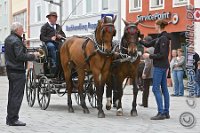 A CB 0170    © Daniela und Christian Bittner u.a.    Alle Inhalte auf diesen Webseiten sind urheberrechtlich geschützt. Kein Teil der hier abrufbaren Inhalte darf ohne ausdrückliche schriftliche Erlaubnis des Fotografen reproduziert, gedruckt, übersetzt, in digitaler Form weiterbearbeitet, in Archive übernommen oder Dritten unter einer fremden URL zugänglich gemacht werden.   Fotografen: AE .. A. Esdar, AH .. A. Helmle, CB .. Chr. Bittner, DB .. D. Bittner, LB .. L. Bittner, BB .. B. Boschatzke,   HZ .. H. Ziegelbauer, IM .. I. Maierhöfer, KH .. K. Hauber, LE .. L. Esdar, ME .. M. Esdar, MEr .. M. Erhard,   RM .. R. Maierhöfer, SD .. S. Demchuk, TS .. T. Spaag-Wagner, UL .. U. Ladenburger, JW .. J. Wecker, EB .. E. Boschatzke,   JA .. J. Abele, MW .. Maria Walter, MB .. Manuel Bühler, GG .. Georg Gösele, CBa .. Christoph Bayrle, KZW .. Kathrin Zwerger, PG .. Peter Gösele, CME .. Carmen Müller-Epacher, GB .. Gebhard Bühler, AL .. Alisha Ladenburger, SV .. Susanne Habel-Veit.
