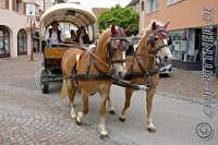 A CB 0192    © Daniela und Christian Bittner u.a.    Alle Inhalte auf diesen Webseiten sind urheberrechtlich geschützt. Kein Teil der hier abrufbaren Inhalte darf ohne ausdrückliche schriftliche Erlaubnis des Fotografen reproduziert, gedruckt, übersetzt, in digitaler Form weiterbearbeitet, in Archive übernommen oder Dritten unter einer fremden URL zugänglich gemacht werden.   Fotografen: AE .. A. Esdar, AH .. A. Helmle, CB .. Chr. Bittner, DB .. D. Bittner, LB .. L. Bittner, BB .. B. Boschatzke,   HZ .. H. Ziegelbauer, IM .. I. Maierhöfer, KH .. K. Hauber, LE .. L. Esdar, ME .. M. Esdar, MEr .. M. Erhard,   RM .. R. Maierhöfer, SD .. S. Demchuk, TS .. T. Spaag-Wagner, UL .. U. Ladenburger, JW .. J. Wecker, EB .. E. Boschatzke,   JA .. J. Abele, MW .. Maria Walter, MB .. Manuel Bühler, GG .. Georg Gösele, CBa .. Christoph Bayrle, KZW .. Kathrin Zwerger, PG .. Peter Gösele, CME .. Carmen Müller-Epacher, GB .. Gebhard Bühler, AL .. Alisha Ladenburger, SV .. Susanne Habel-Veit.