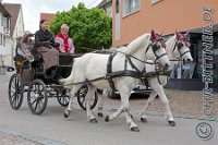 A CB 0224    © Daniela und Christian Bittner u.a.    Alle Inhalte auf diesen Webseiten sind urheberrechtlich geschützt. Kein Teil der hier abrufbaren Inhalte darf ohne ausdrückliche schriftliche Erlaubnis des Fotografen reproduziert, gedruckt, übersetzt, in digitaler Form weiterbearbeitet, in Archive übernommen oder Dritten unter einer fremden URL zugänglich gemacht werden.   Fotografen: AE .. A. Esdar, AH .. A. Helmle, CB .. Chr. Bittner, DB .. D. Bittner, LB .. L. Bittner, BB .. B. Boschatzke,   HZ .. H. Ziegelbauer, IM .. I. Maierhöfer, KH .. K. Hauber, LE .. L. Esdar, ME .. M. Esdar, MEr .. M. Erhard,   RM .. R. Maierhöfer, SD .. S. Demchuk, TS .. T. Spaag-Wagner, UL .. U. Ladenburger, JW .. J. Wecker, EB .. E. Boschatzke,   JA .. J. Abele, MW .. Maria Walter, MB .. Manuel Bühler, GG .. Georg Gösele, CBa .. Christoph Bayrle, KZW .. Kathrin Zwerger, PG .. Peter Gösele, CME .. Carmen Müller-Epacher, GB .. Gebhard Bühler, AL .. Alisha Ladenburger, SV .. Susanne Habel-Veit.