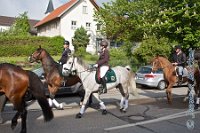 A DB 0041    © Daniela und Christian Bittner u.a.    Alle Inhalte auf diesen Webseiten sind urheberrechtlich geschützt. Kein Teil der hier abrufbaren Inhalte darf ohne ausdrückliche schriftliche Erlaubnis des Fotografen reproduziert, gedruckt, übersetzt, in digitaler Form weiterbearbeitet, in Archive übernommen oder Dritten unter einer fremden URL zugänglich gemacht werden.   Fotografen: AE .. A. Esdar, AH .. A. Helmle, CB .. Chr. Bittner, DB .. D. Bittner, LB .. L. Bittner, BB .. B. Boschatzke,   HZ .. H. Ziegelbauer, IM .. I. Maierhöfer, KH .. K. Hauber, LE .. L. Esdar, ME .. M. Esdar, MEr .. M. Erhard,   RM .. R. Maierhöfer, SD .. S. Demchuk, TS .. T. Spaag-Wagner, UL .. U. Ladenburger, JW .. J. Wecker, EB .. E. Boschatzke,   JA .. J. Abele, MW .. Maria Walter, MB .. Manuel Bühler, GG .. Georg Gösele, CBa .. Christoph Bayrle, KZW .. Kathrin Zwerger, PG .. Peter Gösele, CME .. Carmen Müller-Epacher, GB .. Gebhard Bühler, AL .. Alisha Ladenburger, SV .. Susanne Habel-Veit.