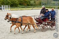 A DB 0055    © Daniela und Christian Bittner u.a.    Alle Inhalte auf diesen Webseiten sind urheberrechtlich geschützt. Kein Teil der hier abrufbaren Inhalte darf ohne ausdrückliche schriftliche Erlaubnis des Fotografen reproduziert, gedruckt, übersetzt, in digitaler Form weiterbearbeitet, in Archive übernommen oder Dritten unter einer fremden URL zugänglich gemacht werden.   Fotografen: AE .. A. Esdar, AH .. A. Helmle, CB .. Chr. Bittner, DB .. D. Bittner, LB .. L. Bittner, BB .. B. Boschatzke,   HZ .. H. Ziegelbauer, IM .. I. Maierhöfer, KH .. K. Hauber, LE .. L. Esdar, ME .. M. Esdar, MEr .. M. Erhard,   RM .. R. Maierhöfer, SD .. S. Demchuk, TS .. T. Spaag-Wagner, UL .. U. Ladenburger, JW .. J. Wecker, EB .. E. Boschatzke,   JA .. J. Abele, MW .. Maria Walter, MB .. Manuel Bühler, GG .. Georg Gösele, CBa .. Christoph Bayrle.