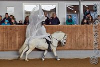 0212 A CB 0142    © Daniela und Christian Bittner u.a.    Alle Inhalte auf diesen Webseiten sind urheberrechtlich geschützt. Kein Teil der hier abrufbaren Inhalte darf ohne ausdrückliche schriftliche Erlaubnis des Fotografen reproduziert, gedruckt, übersetzt, in digitaler Form weiterbearbeitet, in Archive übernommen oder Dritten unter einer fremden URL zugänglich gemacht werden.   Fotografen: AE .. A. Esdar, AH .. A. Helmle, CB .. Chr. Bittner, DB .. D. Bittner, LB .. L. Bittner, BB .. B. Boschatzke,   HZ .. H. Ziegelbauer, IM .. I. Maierhöfer, KH .. K. Hauber, LE .. L. Esdar, ME .. M. Esdar, MEr .. M. Erhard,   RM .. R. Maierhöfer, SD .. S. Demchuk, TS .. T. Spaag-Wagner, UL .. U. Ladenburger, JW .. J. Wecker, EB .. E. Boschatzke,   JA .. J. Abele, MW .. Maria Walter, MB .. Manuel Bühler, GG .. Georg Gösele, CBa .. Christoph Bayrle, KZW .. Kathrin Zwerger, PG .. Peter Gösele, CME .. Carmen Müller-Epacher, GB .. Gebhard Bühler, AL .. Alisha Ladenburger, SV .. Susanne Habel-Veit.