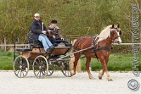 A CB 0244    © Daniela und Christian Bittner u.a.    Alle Inhalte auf diesen Webseiten sind urheberrechtlich geschützt. Kein Teil der hier abrufbaren Inhalte darf ohne ausdrückliche schriftliche Erlaubnis des Fotografen reproduziert, gedruckt, übersetzt, in digitaler Form weiterbearbeitet, in Archive übernommen oder Dritten unter einer fremden URL zugänglich gemacht werden.   Fotografen: AE .. A. Esdar, AH .. A. Helmle, CB .. Chr. Bittner, DB .. D. Bittner, LB .. L. Bittner, BB .. B. Boschatzke,   HZ .. H. Ziegelbauer, IM .. I. Maierhöfer, KH .. K. Hauber, LE .. L. Esdar, ME .. M. Esdar, MEr .. M. Erhard,   RM .. R. Maierhöfer, SD .. S. Demchuk, TS .. T. Spaag-Wagner, UL .. U. Ladenburger, JW .. J. Wecker, EB .. E. Boschatzke,   JA .. J. Abele, MW .. Maria Walter, MB .. Manuel Bühler, GG .. Georg Gösele, CBa .. Christoph Bayrle, KZW .. Kathrin Zwerger, PG .. Peter Gösele, CME .. Carmen Müller-Epacher, GB .. Gebhard Bühler, AL .. Alisha Ladenburger, SV .. Susanne Habel-Veit.