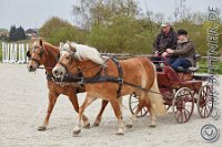 A CB 0325    © Daniela und Christian Bittner u.a.    Alle Inhalte auf diesen Webseiten sind urheberrechtlich geschützt. Kein Teil der hier abrufbaren Inhalte darf ohne ausdrückliche schriftliche Erlaubnis des Fotografen reproduziert, gedruckt, übersetzt, in digitaler Form weiterbearbeitet, in Archive übernommen oder Dritten unter einer fremden URL zugänglich gemacht werden.   Fotografen: AE .. A. Esdar, AH .. A. Helmle, CB .. Chr. Bittner, DB .. D. Bittner, LB .. L. Bittner, BB .. B. Boschatzke,   HZ .. H. Ziegelbauer, IM .. I. Maierhöfer, KH .. K. Hauber, LE .. L. Esdar, ME .. M. Esdar, MEr .. M. Erhard,   RM .. R. Maierhöfer, SD .. S. Demchuk, TS .. T. Spaag-Wagner, UL .. U. Ladenburger, JW .. J. Wecker, EB .. E. Boschatzke,   JA .. J. Abele, MW .. Maria Walter, MB .. Manuel Bühler, GG .. Georg Gösele, CBa .. Christoph Bayrle, KZW .. Kathrin Zwerger, PG .. Peter Gösele, CME .. Carmen Müller-Epacher, GB .. Gebhard Bühler, AL .. Alisha Ladenburger, SV .. Susanne Habel-Veit.