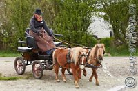 A CB 0343    © Daniela und Christian Bittner u.a.    Alle Inhalte auf diesen Webseiten sind urheberrechtlich geschützt. Kein Teil der hier abrufbaren Inhalte darf ohne ausdrückliche schriftliche Erlaubnis des Fotografen reproduziert, gedruckt, übersetzt, in digitaler Form weiterbearbeitet, in Archive übernommen oder Dritten unter einer fremden URL zugänglich gemacht werden.   Fotografen: AE .. A. Esdar, AH .. A. Helmle, CB .. Chr. Bittner, DB .. D. Bittner, LB .. L. Bittner, BB .. B. Boschatzke,   HZ .. H. Ziegelbauer, IM .. I. Maierhöfer, KH .. K. Hauber, LE .. L. Esdar, ME .. M. Esdar, MEr .. M. Erhard,   RM .. R. Maierhöfer, SD .. S. Demchuk, TS .. T. Spaag-Wagner, UL .. U. Ladenburger, JW .. J. Wecker, EB .. E. Boschatzke,   JA .. J. Abele, MW .. Maria Walter, MB .. Manuel Bühler, GG .. Georg Gösele, CBa .. Christoph Bayrle, KZW .. Kathrin Zwerger, PG .. Peter Gösele, CME .. Carmen Müller-Epacher, GB .. Gebhard Bühler, AL .. Alisha Ladenburger, SV .. Susanne Habel-Veit.