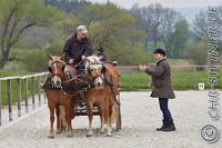 A CB 0424    © Daniela und Christian Bittner u.a.    Alle Inhalte auf diesen Webseiten sind urheberrechtlich geschützt. Kein Teil der hier abrufbaren Inhalte darf ohne ausdrückliche schriftliche Erlaubnis des Fotografen reproduziert, gedruckt, übersetzt, in digitaler Form weiterbearbeitet, in Archive übernommen oder Dritten unter einer fremden URL zugänglich gemacht werden.   Fotografen: AE .. A. Esdar, AH .. A. Helmle, CB .. Chr. Bittner, DB .. D. Bittner, LB .. L. Bittner, BB .. B. Boschatzke,   HZ .. H. Ziegelbauer, IM .. I. Maierhöfer, KH .. K. Hauber, LE .. L. Esdar, ME .. M. Esdar, MEr .. M. Erhard,   RM .. R. Maierhöfer, SD .. S. Demchuk, TS .. T. Spaag-Wagner, UL .. U. Ladenburger, JW .. J. Wecker, EB .. E. Boschatzke,   JA .. J. Abele, MW .. Maria Walter, MB .. Manuel Bühler, GG .. Georg Gösele, CBa .. Christoph Bayrle, KZW .. Kathrin Zwerger, PG .. Peter Gösele, CME .. Carmen Müller-Epacher, GB .. Gebhard Bühler, AL .. Alisha Ladenburger, SV .. Susanne Habel-Veit.