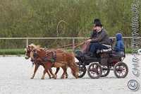 A CB 0465    © Daniela und Christian Bittner u.a.    Alle Inhalte auf diesen Webseiten sind urheberrechtlich geschützt. Kein Teil der hier abrufbaren Inhalte darf ohne ausdrückliche schriftliche Erlaubnis des Fotografen reproduziert, gedruckt, übersetzt, in digitaler Form weiterbearbeitet, in Archive übernommen oder Dritten unter einer fremden URL zugänglich gemacht werden.   Fotografen: AE .. A. Esdar, AH .. A. Helmle, CB .. Chr. Bittner, DB .. D. Bittner, LB .. L. Bittner, BB .. B. Boschatzke,   HZ .. H. Ziegelbauer, IM .. I. Maierhöfer, KH .. K. Hauber, LE .. L. Esdar, ME .. M. Esdar, MEr .. M. Erhard,   RM .. R. Maierhöfer, SD .. S. Demchuk, TS .. T. Spaag-Wagner, UL .. U. Ladenburger, JW .. J. Wecker, EB .. E. Boschatzke,   JA .. J. Abele, MW .. Maria Walter, MB .. Manuel Bühler, GG .. Georg Gösele, CBa .. Christoph Bayrle, KZW .. Kathrin Zwerger, PG .. Peter Gösele, CME .. Carmen Müller-Epacher, GB .. Gebhard Bühler, AL .. Alisha Ladenburger, SV .. Susanne Habel-Veit.