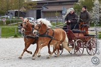 A CB 0764    © Daniela und Christian Bittner u.a.    Alle Inhalte auf diesen Webseiten sind urheberrechtlich geschützt. Kein Teil der hier abrufbaren Inhalte darf ohne ausdrückliche schriftliche Erlaubnis des Fotografen reproduziert, gedruckt, übersetzt, in digitaler Form weiterbearbeitet, in Archive übernommen oder Dritten unter einer fremden URL zugänglich gemacht werden.   Fotografen: AE .. A. Esdar, AH .. A. Helmle, CB .. Chr. Bittner, DB .. D. Bittner, LB .. L. Bittner, BB .. B. Boschatzke,   HZ .. H. Ziegelbauer, IM .. I. Maierhöfer, KH .. K. Hauber, LE .. L. Esdar, ME .. M. Esdar, MEr .. M. Erhard,   RM .. R. Maierhöfer, SD .. S. Demchuk, TS .. T. Spaag-Wagner, UL .. U. Ladenburger, JW .. J. Wecker, EB .. E. Boschatzke,   JA .. J. Abele, MW .. Maria Walter, MB .. Manuel Bühler, GG .. Georg Gösele, CBa .. Christoph Bayrle.