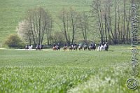 042 A CB 0089    © Daniela und Christian Bittner u.a.    Alle Inhalte auf diesen Webseiten sind urheberrechtlich geschützt. Kein Teil der hier abrufbaren Inhalte darf ohne ausdrückliche schriftliche Erlaubnis des Fotografen reproduziert, gedruckt, übersetzt, in digitaler Form weiterbearbeitet, in Archive übernommen oder Dritten unter einer fremden URL zugänglich gemacht werden.   Fotografen: AE .. A. Esdar, AH .. A. Helmle, CB .. Chr. Bittner, DB .. D. Bittner, LB .. L. Bittner, BB .. B. Boschatzke,   HZ .. H. Ziegelbauer, IM .. I. Maierhöfer, KH .. K. Hauber, LE .. L. Esdar, ME .. M. Esdar, MEr .. M. Erhard,   RM .. R. Maierhöfer, SD .. S. Demchuk, TS .. T. Spaag-Wagner, UL .. U. Ladenburger, JW .. J. Wecker, EB .. E. Boschatzke,   JA .. J. Abele, MW .. Maria Walter, MB .. Manuel Bühler, GG .. Georg Gösele, CBa .. Christoph Bayrle, KZW .. Kathrin Zwerger, PG .. Peter Gösele, CME .. Carmen Müller-Epacher, GB .. Gebhard Bühler, AL .. Alisha Ladenburger, SV .. Susanne Habel-Veit.