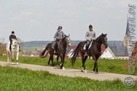 066 A CB 0135    © Daniela und Christian Bittner u.a.    Alle Inhalte auf diesen Webseiten sind urheberrechtlich geschützt. Kein Teil der hier abrufbaren Inhalte darf ohne ausdrückliche schriftliche Erlaubnis des Fotografen reproduziert, gedruckt, übersetzt, in digitaler Form weiterbearbeitet, in Archive übernommen oder Dritten unter einer fremden URL zugänglich gemacht werden.   Fotografen: AE .. A. Esdar, AH .. A. Helmle, CB .. Chr. Bittner, DB .. D. Bittner, LB .. L. Bittner, BB .. B. Boschatzke,   HZ .. H. Ziegelbauer, IM .. I. Maierhöfer, KH .. K. Hauber, LE .. L. Esdar, ME .. M. Esdar, MEr .. M. Erhard,   RM .. R. Maierhöfer, SD .. S. Demchuk, TS .. T. Spaag-Wagner, UL .. U. Ladenburger, JW .. J. Wecker, EB .. E. Boschatzke,   JA .. J. Abele, MW .. Maria Walter, MB .. Manuel Bühler, GG .. Georg Gösele, CBa .. Christoph Bayrle, KZW .. Kathrin Zwerger, PG .. Peter Gösele, CME .. Carmen Müller-Epacher, GB .. Gebhard Bühler, AL .. Alisha Ladenburger, SV .. Susanne Habel-Veit.