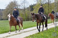082 A CB 0178    © Daniela und Christian Bittner u.a.    Alle Inhalte auf diesen Webseiten sind urheberrechtlich geschützt. Kein Teil der hier abrufbaren Inhalte darf ohne ausdrückliche schriftliche Erlaubnis des Fotografen reproduziert, gedruckt, übersetzt, in digitaler Form weiterbearbeitet, in Archive übernommen oder Dritten unter einer fremden URL zugänglich gemacht werden.   Fotografen: AE .. A. Esdar, AH .. A. Helmle, CB .. Chr. Bittner, DB .. D. Bittner, LB .. L. Bittner, BB .. B. Boschatzke,   HZ .. H. Ziegelbauer, IM .. I. Maierhöfer, KH .. K. Hauber, LE .. L. Esdar, ME .. M. Esdar, MEr .. M. Erhard,   RM .. R. Maierhöfer, SD .. S. Demchuk, TS .. T. Spaag-Wagner, UL .. U. Ladenburger, JW .. J. Wecker, EB .. E. Boschatzke,   JA .. J. Abele, MW .. Maria Walter, MB .. Manuel Bühler, GG .. Georg Gösele, CBa .. Christoph Bayrle, KZW .. Kathrin Zwerger, PG .. Peter Gösele, CME .. Carmen Müller-Epacher, GB .. Gebhard Bühler, AL .. Alisha Ladenburger, SV .. Susanne Habel-Veit.