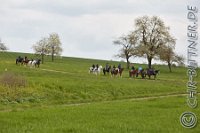 222 A CB 0366    © Daniela und Christian Bittner u.a.    Alle Inhalte auf diesen Webseiten sind urheberrechtlich geschützt. Kein Teil der hier abrufbaren Inhalte darf ohne ausdrückliche schriftliche Erlaubnis des Fotografen reproduziert, gedruckt, übersetzt, in digitaler Form weiterbearbeitet, in Archive übernommen oder Dritten unter einer fremden URL zugänglich gemacht werden.   Fotografen: AE .. A. Esdar, AH .. A. Helmle, CB .. Chr. Bittner, DB .. D. Bittner, LB .. L. Bittner, BB .. B. Boschatzke,   HZ .. H. Ziegelbauer, IM .. I. Maierhöfer, KH .. K. Hauber, LE .. L. Esdar, ME .. M. Esdar, MEr .. M. Erhard,   RM .. R. Maierhöfer, SD .. S. Demchuk, TS .. T. Spaag-Wagner, UL .. U. Ladenburger, JW .. J. Wecker, EB .. E. Boschatzke,   JA .. J. Abele, MW .. Maria Walter, MB .. Manuel Bühler, GG .. Georg Gösele, CBa .. Christoph Bayrle, KZW .. Kathrin Zwerger, PG .. Peter Gösele, CME .. Carmen Müller-Epacher, GB .. Gebhard Bühler, AL .. Alisha Ladenburger, SV .. Susanne Habel-Veit.