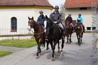 254 A DB 0493    © Daniela und Christian Bittner u.a.    Alle Inhalte auf diesen Webseiten sind urheberrechtlich geschützt. Kein Teil der hier abrufbaren Inhalte darf ohne ausdrückliche schriftliche Erlaubnis des Fotografen reproduziert, gedruckt, übersetzt, in digitaler Form weiterbearbeitet, in Archive übernommen oder Dritten unter einer fremden URL zugänglich gemacht werden.   Fotografen: AE .. A. Esdar, AH .. A. Helmle, CB .. Chr. Bittner, DB .. D. Bittner, LB .. L. Bittner, BB .. B. Boschatzke,   HZ .. H. Ziegelbauer, IM .. I. Maierhöfer, KH .. K. Hauber, LE .. L. Esdar, ME .. M. Esdar, MEr .. M. Erhard,   RM .. R. Maierhöfer, SD .. S. Demchuk, TS .. T. Spaag-Wagner, UL .. U. Ladenburger, JW .. J. Wecker, EB .. E. Boschatzke,   JA .. J. Abele, MW .. Maria Walter, MB .. Manuel Bühler, GG .. Georg Gösele, CBa .. Christoph Bayrle, KZW .. Kathrin Zwerger, PG .. Peter Gösele, CME .. Carmen Müller-Epacher, GB .. Gebhard Bühler, AL .. Alisha Ladenburger, SV .. Susanne Habel-Veit.