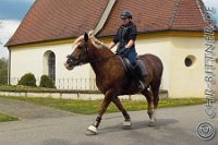 256 A LB 0190    © Daniela und Christian Bittner u.a.    Alle Inhalte auf diesen Webseiten sind urheberrechtlich geschützt. Kein Teil der hier abrufbaren Inhalte darf ohne ausdrückliche schriftliche Erlaubnis des Fotografen reproduziert, gedruckt, übersetzt, in digitaler Form weiterbearbeitet, in Archive übernommen oder Dritten unter einer fremden URL zugänglich gemacht werden.   Fotografen: AE .. A. Esdar, AH .. A. Helmle, CB .. Chr. Bittner, DB .. D. Bittner, LB .. L. Bittner, BB .. B. Boschatzke,   HZ .. H. Ziegelbauer, IM .. I. Maierhöfer, KH .. K. Hauber, LE .. L. Esdar, ME .. M. Esdar, MEr .. M. Erhard,   RM .. R. Maierhöfer, SD .. S. Demchuk, TS .. T. Spaag-Wagner, UL .. U. Ladenburger, JW .. J. Wecker, EB .. E. Boschatzke,   JA .. J. Abele, MW .. Maria Walter, MB .. Manuel Bühler, GG .. Georg Gösele, CBa .. Christoph Bayrle, KZW .. Kathrin Zwerger, PG .. Peter Gösele, CME .. Carmen Müller-Epacher, GB .. Gebhard Bühler, AL .. Alisha Ladenburger, SV .. Susanne Habel-Veit.