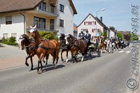 053 A CB 0142    © Daniela und Christian Bittner u.a.    Alle Inhalte auf diesen Webseiten sind urheberrechtlich geschützt. Kein Teil der hier abrufbaren Inhalte darf ohne ausdrückliche schriftliche Erlaubnis des Fotografen reproduziert, gedruckt, übersetzt, in digitaler Form weiterbearbeitet, in Archive übernommen oder Dritten unter einer fremden URL zugänglich gemacht werden.   Fotografen: AE .. A. Esdar, AH .. A. Helmle, CB .. Chr. Bittner, DB .. D. Bittner, LB .. L. Bittner, BB .. B. Boschatzke,   HZ .. H. Ziegelbauer, IM .. I. Maierhöfer, KH .. K. Hauber, LE .. L. Esdar, ME .. M. Esdar, MEr .. M. Erhard,   RM .. R. Maierhöfer, SD .. S. Demchuk, TS .. T. Spaag-Wagner, UL .. U. Ladenburger, JW .. J. Wecker, EB .. E. Boschatzke,   JA .. J. Abele, MW .. Maria Walter, MB .. Manuel Bühler, GG .. Georg Gösele, CBa .. Christoph Bayrle, KZW .. Kathrin Zwerger, PG .. Peter Gösele, CME .. Carmen Müller-Epacher, GB .. Gebhard Bühler, AL .. Alisha Ladenburger, SV .. Susanne Habel-Veit.