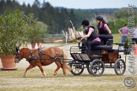 045 A CB 0376    © Daniela und Christian Bittner u.a.    Alle Inhalte auf diesen Webseiten sind urheberrechtlich geschützt. Kein Teil der hier abrufbaren Inhalte darf ohne ausdrückliche schriftliche Erlaubnis des Fotografen reproduziert, gedruckt, übersetzt, in digitaler Form weiterbearbeitet, in Archive übernommen oder Dritten unter einer fremden URL zugänglich gemacht werden.   Fotografen: AE .. A. Esdar, AH .. A. Helmle, CB .. Chr. Bittner, DB .. D. Bittner, LB .. L. Bittner, BB .. B. Boschatzke,   HZ .. H. Ziegelbauer, IM .. I. Maierhöfer, KH .. K. Hauber, LE .. L. Esdar, ME .. M. Esdar, MEr .. M. Erhard,   RM .. R. Maierhöfer, SD .. S. Demchuk, TS .. T. Spaag-Wagner, UL .. U. Ladenburger, JW .. J. Wecker, EB .. E. Boschatzke,   JA .. J. Abele, MW .. Maria Walter, MB .. Manuel Bühler, GG .. Georg Gösele, CBa .. Christoph Bayrle.