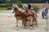088 A CB 0746    © Daniela und Christian Bittner u.a.    Alle Inhalte auf diesen Webseiten sind urheberrechtlich geschützt. Kein Teil der hier abrufbaren Inhalte darf ohne ausdrückliche schriftliche Erlaubnis des Fotografen reproduziert, gedruckt, übersetzt, in digitaler Form weiterbearbeitet, in Archive übernommen oder Dritten unter einer fremden URL zugänglich gemacht werden.   Fotografen: AE .. A. Esdar, AH .. A. Helmle, CB .. Chr. Bittner, DB .. D. Bittner, LB .. L. Bittner, BB .. B. Boschatzke,   HZ .. H. Ziegelbauer, IM .. I. Maierhöfer, KH .. K. Hauber, LE .. L. Esdar, ME .. M. Esdar, MEr .. M. Erhard,   RM .. R. Maierhöfer, SD .. S. Demchuk, TS .. T. Spaag-Wagner, UL .. U. Ladenburger, JW .. J. Wecker, EB .. E. Boschatzke,   JA .. J. Abele, MW .. Maria Walter, MB .. Manuel Bühler, GG .. Georg Gösele, CBa .. Christoph Bayrle, KZW .. Kathrin Zwerger, PG .. Peter Gösele, CME .. Carmen Müller-Epacher, GB .. Gebhard Bühler, AL .. Alisha Ladenburger, SV .. Susanne Habel-Veit.