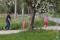 A DB 0003    © Daniela und Christian Bittner u.a.    Alle Inhalte auf diesen Webseiten sind urheberrechtlich geschützt. Kein Teil der hier abrufbaren Inhalte darf ohne ausdrückliche schriftliche Erlaubnis des Fotografen reproduziert, gedruckt, übersetzt, in digitaler Form weiterbearbeitet, in Archive übernommen oder Dritten unter einer fremden URL zugänglich gemacht werden.   Fotografen: AE .. A. Esdar, AH .. A. Helmle, CB .. Chr. Bittner, DB .. D. Bittner, LB .. L. Bittner, BB .. B. Boschatzke,   HZ .. H. Ziegelbauer, IM .. I. Maierhöfer, KH .. K. Hauber, LE .. L. Esdar, ME .. M. Esdar, MEr .. M. Erhard,   RM .. R. Maierhöfer, SD .. S. Demchuk, TS .. T. Spaag-Wagner, UL .. U. Ladenburger, JW .. J. Wecker, EB .. E. Boschatzke,   JA .. J. Abele, MW .. Maria Walter, MB .. Manuel Bühler, GG .. Georg Gösele, CBa .. Christoph Bayrle, KZW .. Kathrin Zwerger, PG .. Peter Gösele, CME .. Carmen Müller-Epacher, GB .. Gebhard Bühler, AL .. Alisha Ladenburger, SV .. Susanne Habel-Veit.