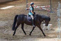 A DB 0189    © Daniela und Christian Bittner u.a.    Alle Inhalte auf diesen Webseiten sind urheberrechtlich geschützt. Kein Teil der hier abrufbaren Inhalte darf ohne ausdrückliche schriftliche Erlaubnis des Fotografen reproduziert, gedruckt, übersetzt, in digitaler Form weiterbearbeitet, in Archive übernommen oder Dritten unter einer fremden URL zugänglich gemacht werden.   Fotografen: AE .. A. Esdar, AH .. A. Helmle, CB .. Chr. Bittner, DB .. D. Bittner, LB .. L. Bittner, BB .. B. Boschatzke,   HZ .. H. Ziegelbauer, IM .. I. Maierhöfer, KH .. K. Hauber, LE .. L. Esdar, ME .. M. Esdar, MEr .. M. Erhard,   RM .. R. Maierhöfer, SD .. S. Demchuk, TS .. T. Spaag-Wagner, UL .. U. Ladenburger, JW .. J. Wecker, EB .. E. Boschatzke,   JA .. J. Abele, MW .. Maria Walter, MB .. Manuel Bühler, GG .. Georg Gösele, CBa .. Christoph Bayrle, KZW .. Kathrin Zwerger, PG .. Peter Gösele, CME .. Carmen Müller-Epacher, GB .. Gebhard Bühler, AL .. Alisha Ladenburger, SV .. Susanne Habel-Veit.