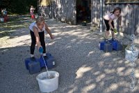 A DB 0035    © Daniela und Christian Bittner u.a.    Alle Inhalte auf diesen Webseiten sind urheberrechtlich geschützt. Kein Teil der hier abrufbaren Inhalte darf ohne ausdrückliche schriftliche Erlaubnis des Fotografen reproduziert, gedruckt, übersetzt, in digitaler Form weiterbearbeitet, in Archive übernommen oder Dritten unter einer fremden URL zugänglich gemacht werden.   Fotografen: AE .. A. Esdar, AH .. A. Helmle, CB .. Chr. Bittner, DB .. D. Bittner, LB .. L. Bittner, BB .. B. Boschatzke,   HZ .. H. Ziegelbauer, IM .. I. Maierhöfer, KH .. K. Hauber, LE .. L. Esdar, ME .. M. Esdar, MEr .. M. Erhard,   RM .. R. Maierhöfer, SD .. S. Demchuk, TS .. T. Spaag-Wagner, UL .. U. Ladenburger, JW .. J. Wecker, EB .. E. Boschatzke,   JA .. J. Abele, MW .. Maria Walter, MB .. Manuel Bühler, GG .. Georg Gösele, CBa .. Christoph Bayrle, KZW .. Kathrin Zwerger, PG .. Peter Gösele, CME .. Carmen Müller-Epacher, GB .. Gebhard Bühler, AL .. Alisha Ladenburger, SV .. Susanne Habel-Veit.