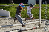 A DB 0381    © Daniela und Christian Bittner u.a.    Alle Inhalte auf diesen Webseiten sind urheberrechtlich geschützt. Kein Teil der hier abrufbaren Inhalte darf ohne ausdrückliche schriftliche Erlaubnis des Fotografen reproduziert, gedruckt, übersetzt, in digitaler Form weiterbearbeitet, in Archive übernommen oder Dritten unter einer fremden URL zugänglich gemacht werden.   Fotografen: AE .. A. Esdar, AH .. A. Helmle, CB .. Chr. Bittner, DB .. D. Bittner, LB .. L. Bittner, BB .. B. Boschatzke,   HZ .. H. Ziegelbauer, IM .. I. Maierhöfer, KH .. K. Hauber, LE .. L. Esdar, ME .. M. Esdar, MEr .. M. Erhard,   RM .. R. Maierhöfer, SD .. S. Demchuk, TS .. T. Spaag-Wagner, UL .. U. Ladenburger, JW .. J. Wecker, EB .. E. Boschatzke,   JA .. J. Abele, MW .. Maria Walter, MB .. Manuel Bühler, GG .. Georg Gösele, CBa .. Christoph Bayrle, KZW .. Kathrin Zwerger, PG .. Peter Gösele, CME .. Carmen Müller-Epacher, GB .. Gebhard Bühler, AL .. Alisha Ladenburger, SV .. Susanne Habel-Veit.