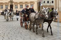 2016-09 Hochzeit Rose und Siggi