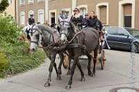 A CB 0113    © Daniela und Christian Bittner u.a.    Alle Inhalte auf diesen Webseiten sind urheberrechtlich geschützt. Kein Teil der hier abrufbaren Inhalte darf ohne ausdrückliche schriftliche Erlaubnis des Fotografen reproduziert, gedruckt, übersetzt, in digitaler Form weiterbearbeitet, in Archive übernommen oder Dritten unter einer fremden URL zugänglich gemacht werden.   Fotografen: AE .. A. Esdar, AH .. A. Helmle, CB .. Chr. Bittner, DB .. D. Bittner, LB .. L. Bittner, BB .. B. Boschatzke,   HZ .. H. Ziegelbauer, IM .. I. Maierhöfer, KH .. K. Hauber, LE .. L. Esdar, ME .. M. Esdar, MEr .. M. Erhard,   RM .. R. Maierhöfer, SD .. S. Demchuk, TS .. T. Spaag-Wagner, UL .. U. Ladenburger, JW .. J. Wecker, EB .. E. Boschatzke,   JA .. J. Abele, MW .. Maria Walter, MB .. Manuel Bühler, GG .. Georg Gösele, CBa .. Christoph Bayrle, KZW .. Kathrin Zwerger, PG .. Peter Gösele, CME .. Carmen Müller-Epacher, GB .. Gebhard Bühler, AL .. Alisha Ladenburger, SV .. Susanne Habel-Veit.