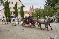 A CB 0143    © Daniela und Christian Bittner u.a.    Alle Inhalte auf diesen Webseiten sind urheberrechtlich geschützt. Kein Teil der hier abrufbaren Inhalte darf ohne ausdrückliche schriftliche Erlaubnis des Fotografen reproduziert, gedruckt, übersetzt, in digitaler Form weiterbearbeitet, in Archive übernommen oder Dritten unter einer fremden URL zugänglich gemacht werden.   Fotografen: AE .. A. Esdar, AH .. A. Helmle, CB .. Chr. Bittner, DB .. D. Bittner, LB .. L. Bittner, BB .. B. Boschatzke,   HZ .. H. Ziegelbauer, IM .. I. Maierhöfer, KH .. K. Hauber, LE .. L. Esdar, ME .. M. Esdar, MEr .. M. Erhard,   RM .. R. Maierhöfer, SD .. S. Demchuk, TS .. T. Spaag-Wagner, UL .. U. Ladenburger, JW .. J. Wecker, EB .. E. Boschatzke,   JA .. J. Abele, MW .. Maria Walter, MB .. Manuel Bühler, GG .. Georg Gösele, CBa .. Christoph Bayrle, KZW .. Kathrin Zwerger, PG .. Peter Gösele, CME .. Carmen Müller-Epacher, GB .. Gebhard Bühler, AL .. Alisha Ladenburger, SV .. Susanne Habel-Veit.