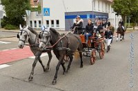 A CB 0199    © Daniela und Christian Bittner u.a.    Alle Inhalte auf diesen Webseiten sind urheberrechtlich geschützt. Kein Teil der hier abrufbaren Inhalte darf ohne ausdrückliche schriftliche Erlaubnis des Fotografen reproduziert, gedruckt, übersetzt, in digitaler Form weiterbearbeitet, in Archive übernommen oder Dritten unter einer fremden URL zugänglich gemacht werden.   Fotografen: AE .. A. Esdar, AH .. A. Helmle, CB .. Chr. Bittner, DB .. D. Bittner, LB .. L. Bittner, BB .. B. Boschatzke,   HZ .. H. Ziegelbauer, IM .. I. Maierhöfer, KH .. K. Hauber, LE .. L. Esdar, ME .. M. Esdar, MEr .. M. Erhard,   RM .. R. Maierhöfer, SD .. S. Demchuk, TS .. T. Spaag-Wagner, UL .. U. Ladenburger, JW .. J. Wecker, EB .. E. Boschatzke,   JA .. J. Abele, MW .. Maria Walter, MB .. Manuel Bühler, GG .. Georg Gösele, CBa .. Christoph Bayrle, KZW .. Kathrin Zwerger, PG .. Peter Gösele, CME .. Carmen Müller-Epacher, GB .. Gebhard Bühler, AL .. Alisha Ladenburger, SV .. Susanne Habel-Veit.