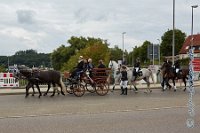 A CB 0206    © Daniela und Christian Bittner u.a.    Alle Inhalte auf diesen Webseiten sind urheberrechtlich geschützt. Kein Teil der hier abrufbaren Inhalte darf ohne ausdrückliche schriftliche Erlaubnis des Fotografen reproduziert, gedruckt, übersetzt, in digitaler Form weiterbearbeitet, in Archive übernommen oder Dritten unter einer fremden URL zugänglich gemacht werden.   Fotografen: AE .. A. Esdar, AH .. A. Helmle, CB .. Chr. Bittner, DB .. D. Bittner, LB .. L. Bittner, BB .. B. Boschatzke,   HZ .. H. Ziegelbauer, IM .. I. Maierhöfer, KH .. K. Hauber, LE .. L. Esdar, ME .. M. Esdar, MEr .. M. Erhard,   RM .. R. Maierhöfer, SD .. S. Demchuk, TS .. T. Spaag-Wagner, UL .. U. Ladenburger, JW .. J. Wecker, EB .. E. Boschatzke,   JA .. J. Abele, MW .. Maria Walter, MB .. Manuel Bühler, GG .. Georg Gösele, CBa .. Christoph Bayrle.