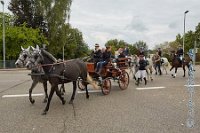 A CB 0235    © Daniela und Christian Bittner u.a.    Alle Inhalte auf diesen Webseiten sind urheberrechtlich geschützt. Kein Teil der hier abrufbaren Inhalte darf ohne ausdrückliche schriftliche Erlaubnis des Fotografen reproduziert, gedruckt, übersetzt, in digitaler Form weiterbearbeitet, in Archive übernommen oder Dritten unter einer fremden URL zugänglich gemacht werden.   Fotografen: AE .. A. Esdar, AH .. A. Helmle, CB .. Chr. Bittner, DB .. D. Bittner, LB .. L. Bittner, BB .. B. Boschatzke,   HZ .. H. Ziegelbauer, IM .. I. Maierhöfer, KH .. K. Hauber, LE .. L. Esdar, ME .. M. Esdar, MEr .. M. Erhard,   RM .. R. Maierhöfer, SD .. S. Demchuk, TS .. T. Spaag-Wagner, UL .. U. Ladenburger, JW .. J. Wecker, EB .. E. Boschatzke,   JA .. J. Abele, MW .. Maria Walter, MB .. Manuel Bühler, GG .. Georg Gösele, CBa .. Christoph Bayrle, KZW .. Kathrin Zwerger, PG .. Peter Gösele, CME .. Carmen Müller-Epacher, GB .. Gebhard Bühler, AL .. Alisha Ladenburger, SV .. Susanne Habel-Veit.