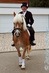 A CB 0175 1    © Daniela und Christian Bittner u.a.    Alle Inhalte auf diesen Webseiten sind urheberrechtlich geschützt. Kein Teil der hier abrufbaren Inhalte darf ohne ausdrückliche schriftliche Erlaubnis des Fotografen reproduziert, gedruckt, übersetzt, in digitaler Form weiterbearbeitet, in Archive übernommen oder Dritten unter einer fremden URL zugänglich gemacht werden.   Fotografen: AE .. A. Esdar, AH .. A. Helmle, CB .. Chr. Bittner, DB .. D. Bittner, LB .. L. Bittner, BB .. B. Boschatzke,   HZ .. H. Ziegelbauer, IM .. I. Maierhöfer, KH .. K. Hauber, LE .. L. Esdar, ME .. M. Esdar, MEr .. M. Erhard,   RM .. R. Maierhöfer, SD .. S. Demchuk, TS .. T. Spaag-Wagner, UL .. U. Ladenburger, JW .. J. Wecker, EB .. E. Boschatzke,   JA .. J. Abele, MW .. Maria Walter, MB .. Manuel Bühler, GG .. Georg Gösele, CBa .. Christoph Bayrle, KZW .. Kathrin Zwerger, PG .. Peter Gösele, CME .. Carmen Müller-Epacher, GB .. Gebhard Bühler, AL .. Alisha Ladenburger, SV .. Susanne Habel-Veit.