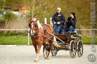 005 A CB 004    © Daniela und Christian Bittner u.a.    Alle Inhalte auf diesen Webseiten sind urheberrechtlich geschützt. Kein Teil der hier abrufbaren Inhalte darf ohne ausdrückliche schriftliche Erlaubnis des Fotografen reproduziert, gedruckt, übersetzt, in digitaler Form weiterbearbeitet, in Archive übernommen oder Dritten unter einer fremden URL zugänglich gemacht werden.   Fotografen: AE .. A. Esdar, AH .. A. Helmle, CB .. Chr. Bittner, DB .. D. Bittner, LB .. L. Bittner, BB .. B. Boschatzke,   HZ .. H. Ziegelbauer, IM .. I. Maierhöfer, KH .. K. Hauber, LE .. L. Esdar, ME .. M. Esdar, MEr .. M. Erhard,   RM .. R. Maierhöfer, SD .. S. Demchuk, TS .. T. Spaag-Wagner, UL .. U. Ladenburger, JW .. J. Wecker, EB .. E. Boschatzke,   JA .. J. Abele, MW .. Maria Walter, MB .. Manuel Bühler, GG .. Georg Gösele, CBa .. Christoph Bayrle, KZW .. Kathrin Zwerger, PG .. Peter Gösele, CME .. Carmen Müller-Epacher, GB .. Gebhard Bühler, AL .. Alisha Ladenburger, SV .. Susanne Habel-Veit.