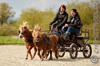 038 A CB 151    © Daniela und Christian Bittner u.a.    Alle Inhalte auf diesen Webseiten sind urheberrechtlich geschützt. Kein Teil der hier abrufbaren Inhalte darf ohne ausdrückliche schriftliche Erlaubnis des Fotografen reproduziert, gedruckt, übersetzt, in digitaler Form weiterbearbeitet, in Archive übernommen oder Dritten unter einer fremden URL zugänglich gemacht werden.   Fotografen: AE .. A. Esdar, AH .. A. Helmle, CB .. Chr. Bittner, DB .. D. Bittner, LB .. L. Bittner, BB .. B. Boschatzke,   HZ .. H. Ziegelbauer, IM .. I. Maierhöfer, KH .. K. Hauber, LE .. L. Esdar, ME .. M. Esdar, MEr .. M. Erhard,   RM .. R. Maierhöfer, SD .. S. Demchuk, TS .. T. Spaag-Wagner, UL .. U. Ladenburger, JW .. J. Wecker, EB .. E. Boschatzke,   JA .. J. Abele, MW .. Maria Walter, MB .. Manuel Bühler, GG .. Georg Gösele, CBa .. Christoph Bayrle, KZW .. Kathrin Zwerger, PG .. Peter Gösele, CME .. Carmen Müller-Epacher, GB .. Gebhard Bühler, AL .. Alisha Ladenburger, SV .. Susanne Habel-Veit.