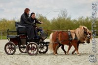 042 A CB 187    © Daniela und Christian Bittner u.a.    Alle Inhalte auf diesen Webseiten sind urheberrechtlich geschützt. Kein Teil der hier abrufbaren Inhalte darf ohne ausdrückliche schriftliche Erlaubnis des Fotografen reproduziert, gedruckt, übersetzt, in digitaler Form weiterbearbeitet, in Archive übernommen oder Dritten unter einer fremden URL zugänglich gemacht werden.   Fotografen: AE .. A. Esdar, AH .. A. Helmle, CB .. Chr. Bittner, DB .. D. Bittner, LB .. L. Bittner, BB .. B. Boschatzke,   HZ .. H. Ziegelbauer, IM .. I. Maierhöfer, KH .. K. Hauber, LE .. L. Esdar, ME .. M. Esdar, MEr .. M. Erhard,   RM .. R. Maierhöfer, SD .. S. Demchuk, TS .. T. Spaag-Wagner, UL .. U. Ladenburger, JW .. J. Wecker, EB .. E. Boschatzke,   JA .. J. Abele, MW .. Maria Walter, MB .. Manuel Bühler, GG .. Georg Gösele, CBa .. Christoph Bayrle, KZW .. Kathrin Zwerger, PG .. Peter Gösele, CME .. Carmen Müller-Epacher, GB .. Gebhard Bühler, AL .. Alisha Ladenburger, SV .. Susanne Habel-Veit.