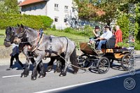 017 A DB 0076    © Daniela und Christian Bittner u.a.    Alle Inhalte auf diesen Webseiten sind urheberrechtlich geschützt. Kein Teil der hier abrufbaren Inhalte darf ohne ausdrückliche schriftliche Erlaubnis des Fotografen reproduziert, gedruckt, übersetzt, in digitaler Form weiterbearbeitet, in Archive übernommen oder Dritten unter einer fremden URL zugänglich gemacht werden.   Fotografen: AE .. A. Esdar, AH .. A. Helmle, CB .. Chr. Bittner, DB .. D. Bittner, LB .. L. Bittner, BB .. B. Boschatzke,   HZ .. H. Ziegelbauer, IM .. I. Maierhöfer, KH .. K. Hauber, LE .. L. Esdar, ME .. M. Esdar, MEr .. M. Erhard,   RM .. R. Maierhöfer, SD .. S. Demchuk, TS .. T. Spaag-Wagner, UL .. U. Ladenburger, JW .. J. Wecker, EB .. E. Boschatzke,   JA .. J. Abele, MW .. Maria Walter, MB .. Manuel Bühler, GG .. Georg Gösele, CBa .. Christoph Bayrle, KZW .. Kathrin Zwerger, PG .. Peter Gösele, CME .. Carmen Müller-Epacher, GB .. Gebhard Bühler, AL .. Alisha Ladenburger, SV .. Susanne Habel-Veit.