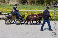 075 A DB 0185    © Daniela und Christian Bittner u.a.    Alle Inhalte auf diesen Webseiten sind urheberrechtlich geschützt. Kein Teil der hier abrufbaren Inhalte darf ohne ausdrückliche schriftliche Erlaubnis des Fotografen reproduziert, gedruckt, übersetzt, in digitaler Form weiterbearbeitet, in Archive übernommen oder Dritten unter einer fremden URL zugänglich gemacht werden.   Fotografen: AE .. A. Esdar, AH .. A. Helmle, CB .. Chr. Bittner, DB .. D. Bittner, LB .. L. Bittner, BB .. B. Boschatzke,   HZ .. H. Ziegelbauer, IM .. I. Maierhöfer, KH .. K. Hauber, LE .. L. Esdar, ME .. M. Esdar, MEr .. M. Erhard,   RM .. R. Maierhöfer, SD .. S. Demchuk, TS .. T. Spaag-Wagner, UL .. U. Ladenburger, JW .. J. Wecker, EB .. E. Boschatzke,   JA .. J. Abele, MW .. Maria Walter, MB .. Manuel Bühler, GG .. Georg Gösele, CBa .. Christoph Bayrle, KZW .. Kathrin Zwerger, PG .. Peter Gösele, CME .. Carmen Müller-Epacher, GB .. Gebhard Bühler, AL .. Alisha Ladenburger, SV .. Susanne Habel-Veit.