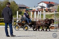 099 A CB 221    © Daniela und Christian Bittner u.a.    Alle Inhalte auf diesen Webseiten sind urheberrechtlich geschützt. Kein Teil der hier abrufbaren Inhalte darf ohne ausdrückliche schriftliche Erlaubnis des Fotografen reproduziert, gedruckt, übersetzt, in digitaler Form weiterbearbeitet, in Archive übernommen oder Dritten unter einer fremden URL zugänglich gemacht werden.   Fotografen: AE .. A. Esdar, AH .. A. Helmle, CB .. Chr. Bittner, DB .. D. Bittner, LB .. L. Bittner, BB .. B. Boschatzke,   HZ .. H. Ziegelbauer, IM .. I. Maierhöfer, KH .. K. Hauber, LE .. L. Esdar, ME .. M. Esdar, MEr .. M. Erhard,   RM .. R. Maierhöfer, SD .. S. Demchuk, TS .. T. Spaag-Wagner, UL .. U. Ladenburger, JW .. J. Wecker, EB .. E. Boschatzke,   JA .. J. Abele, MW .. Maria Walter, MB .. Manuel Bühler, GG .. Georg Gösele, CBa .. Christoph Bayrle, KZW .. Kathrin Zwerger, PG .. Peter Gösele, CME .. Carmen Müller-Epacher, GB .. Gebhard Bühler, AL .. Alisha Ladenburger, SV .. Susanne Habel-Veit.